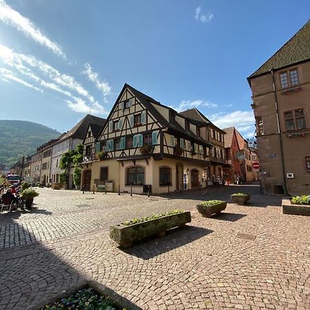 דירות קייסרסברג Coeur D'Alsace מראה חיצוני תמונה